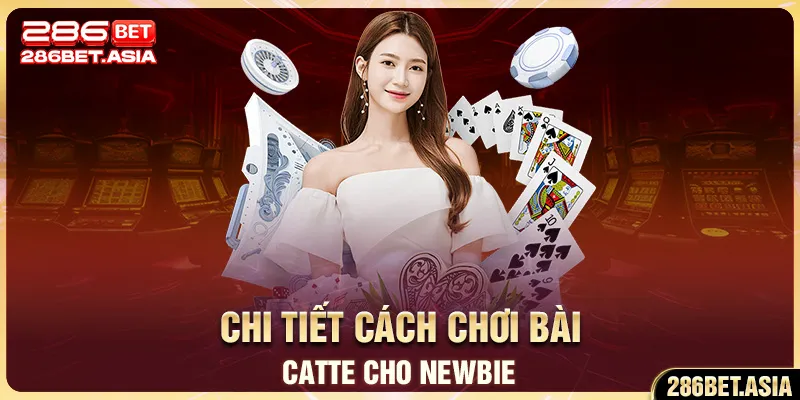 Hướng Dẫn Chi Tiết Cách Chơi Bài Catte Cho Newbie