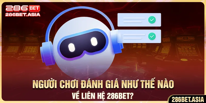 Người chơi đánh giá như thế nào về liên hệ 286BET?