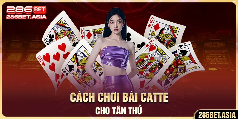 Cách chơi bài catte cho tân thủ